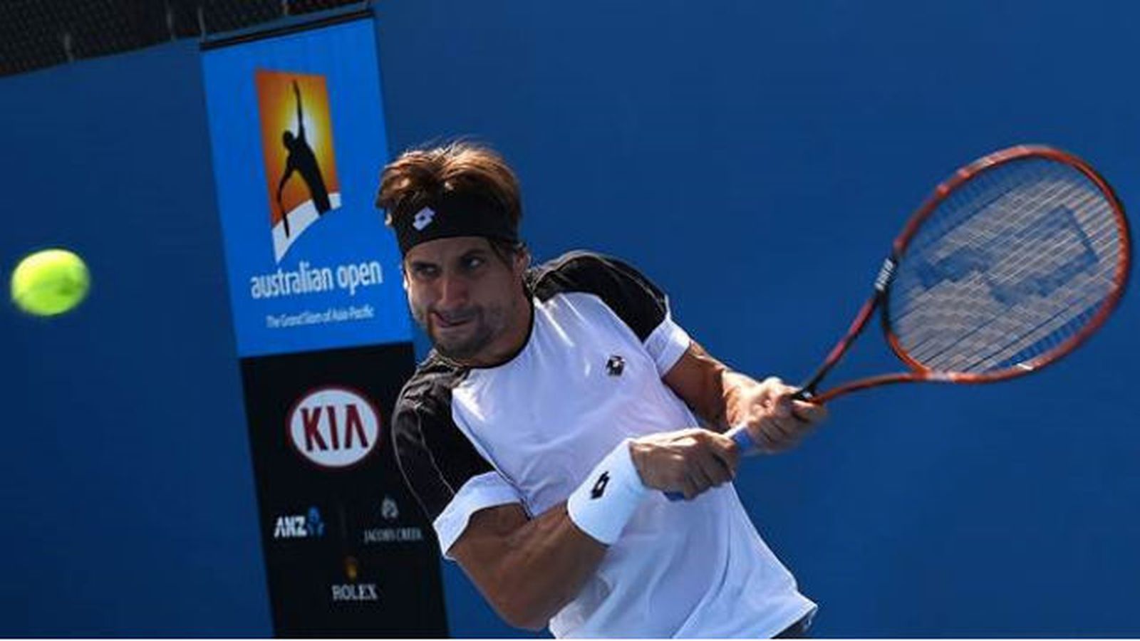 David Ferrer