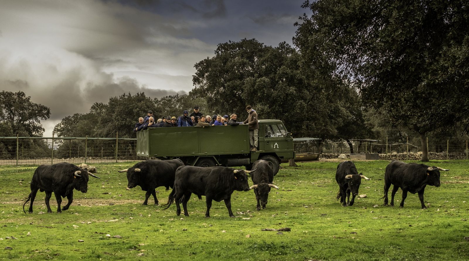 Un grupo de turistas recorre una finca de toros bravos en Madrid