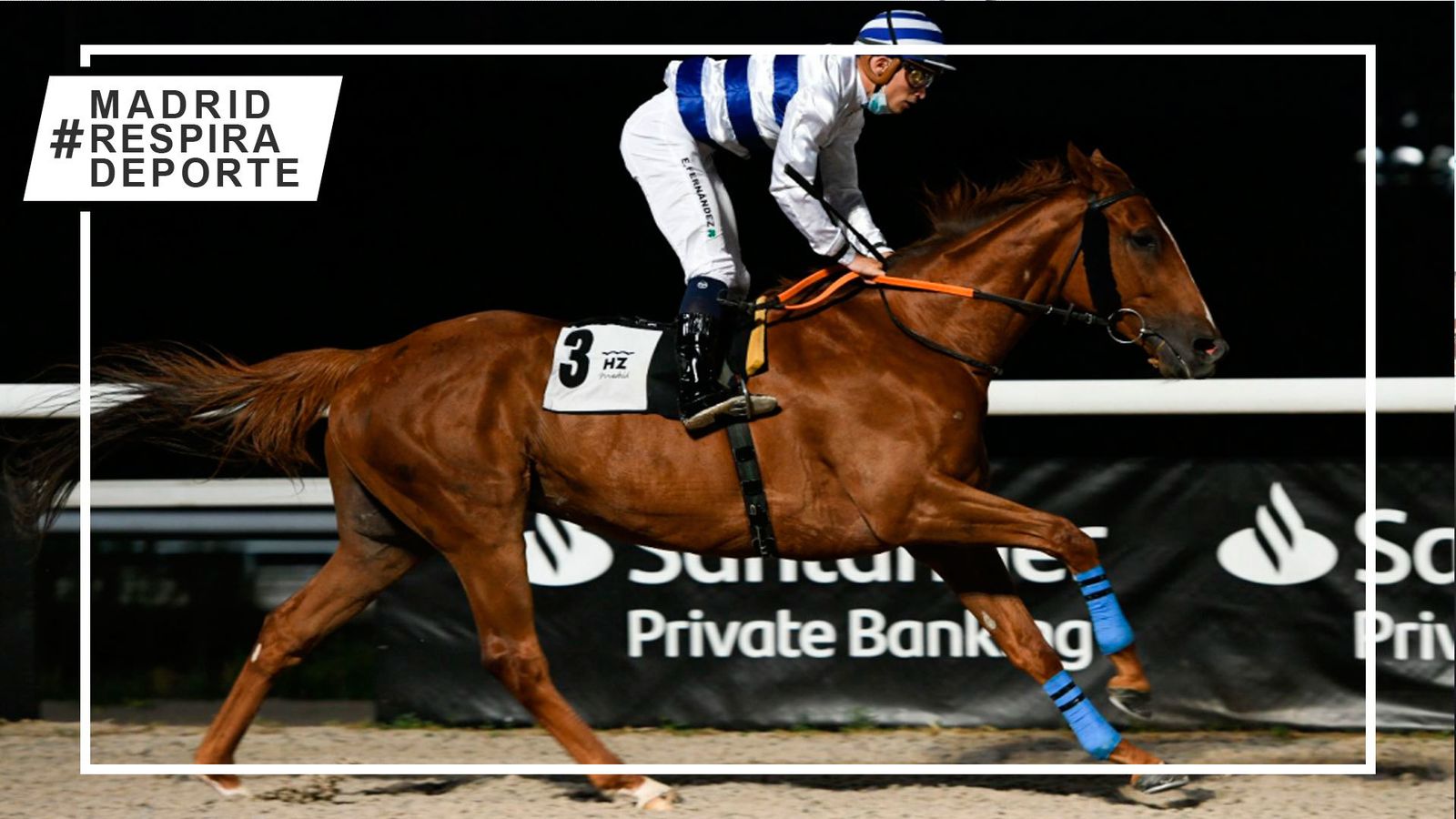 Carrera de caballos