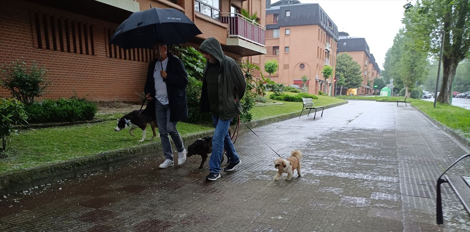 Paso bajo la lluvia