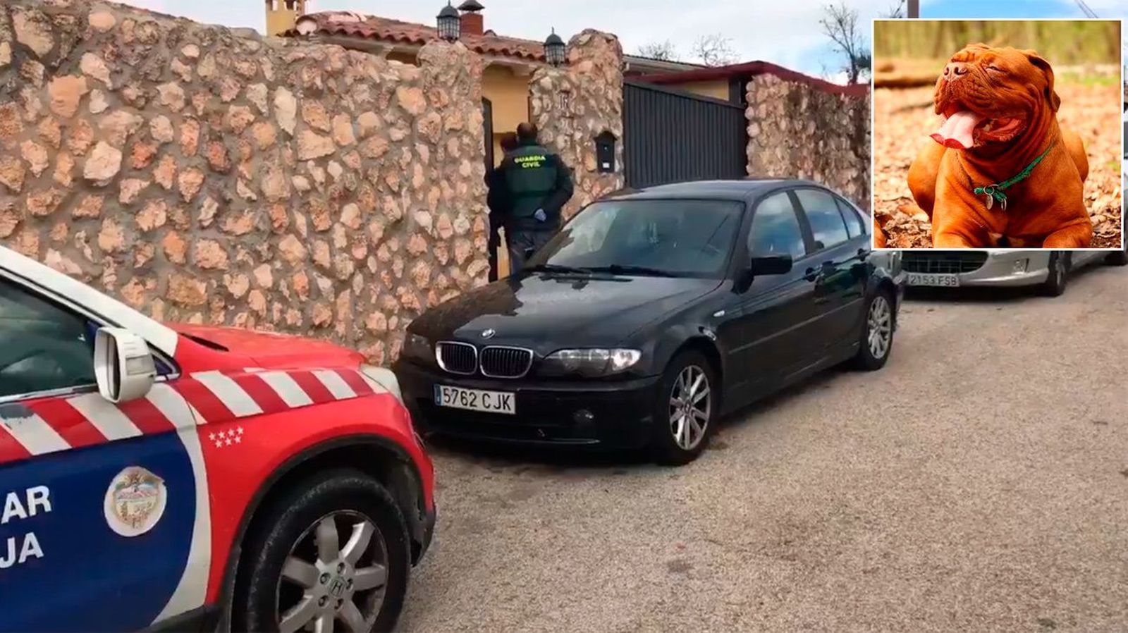 Dos mujeres muertas en Colmenar de Oreja por sus Dogos de Burdeos
