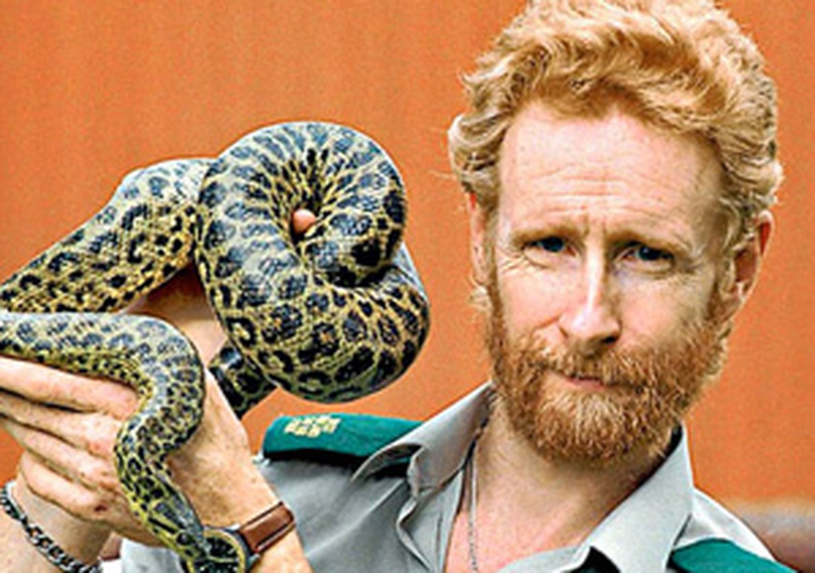REPTILES_MORDIDO