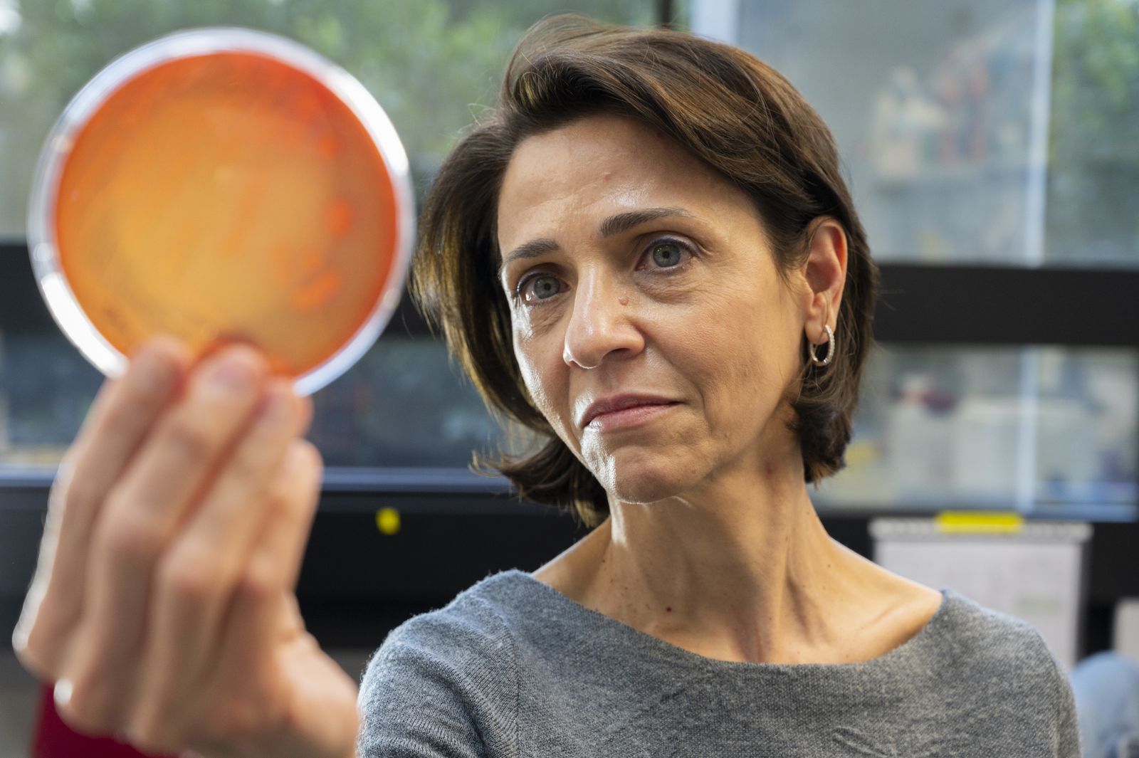 La investigadora Yolanda Sanz, en su laboratorio del IATA-CSIC
