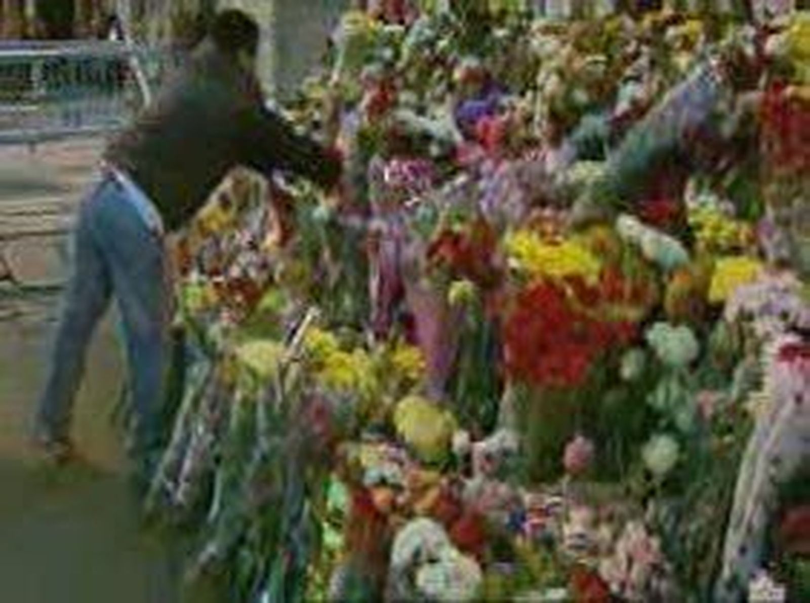 3almudena_2010113V0.wmv