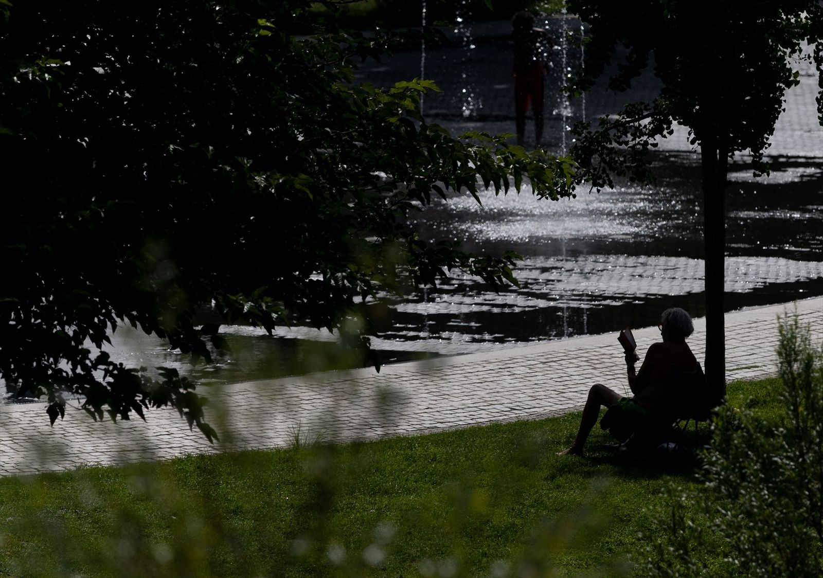 Una persona lee a la sombra en Madrid Río