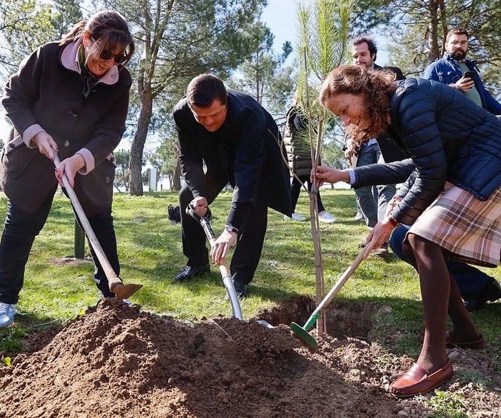 Plantación de un árbol en Pozuelo