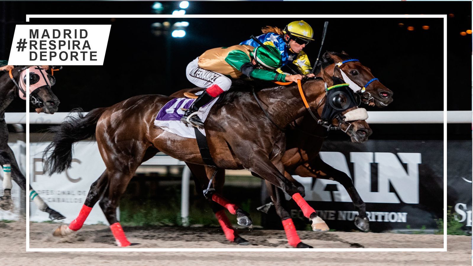 Hipódromo de la Zarzuela