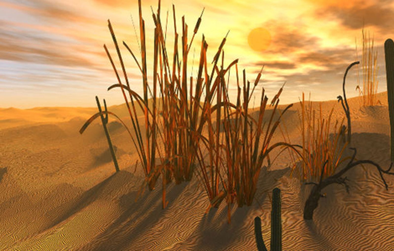 sahara470