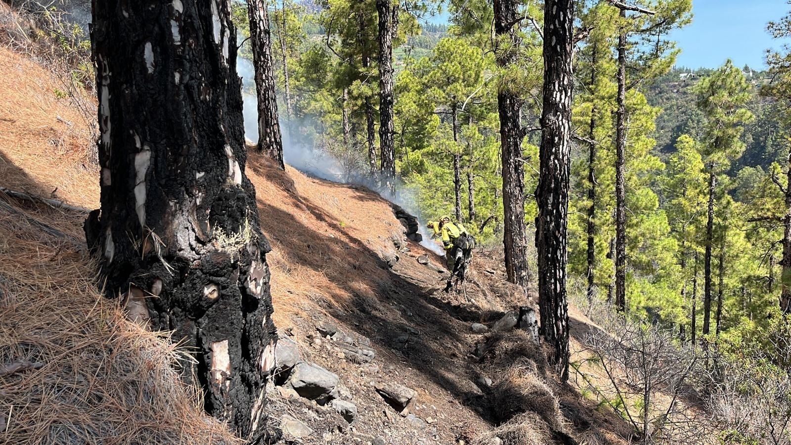 Incendio en La Palma
