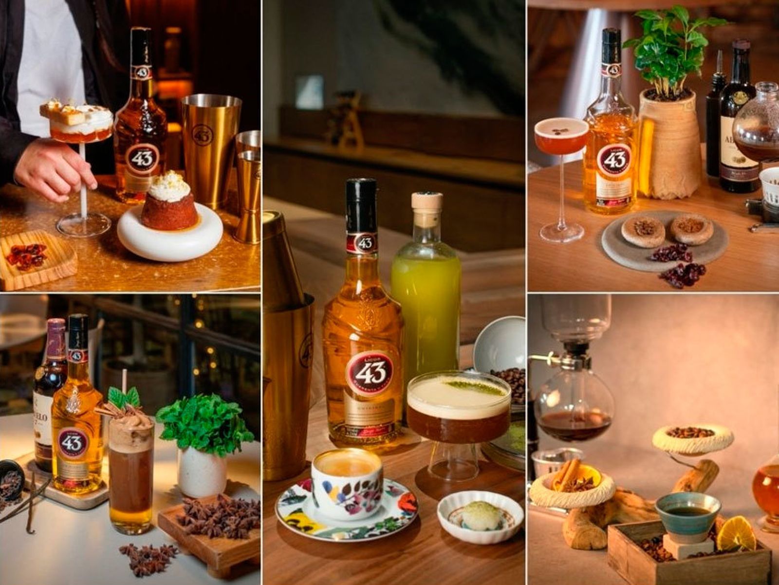 Las cinco propuestas finalistas:  : ‘Barro’, ‘Kappo’, ‘Aleph’, ‘Dexcaro’ y ‘De Lab Beach Lounge’