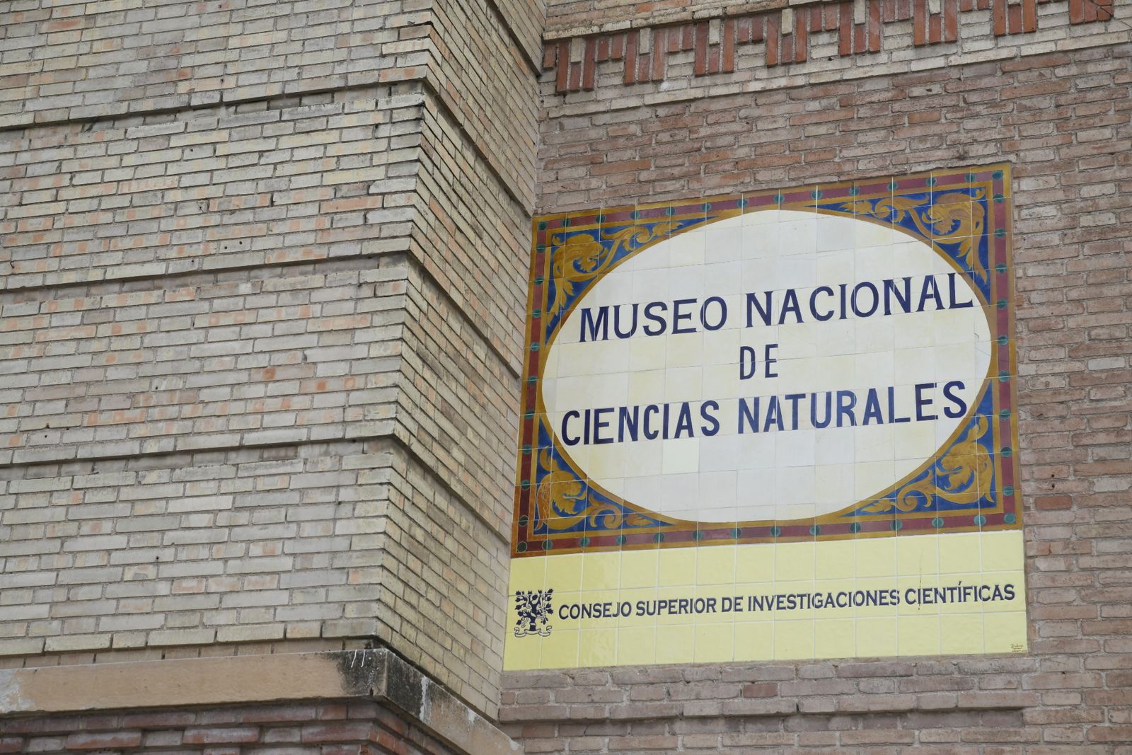 Detalle del Museo de Ciencias Naturales de Madrid