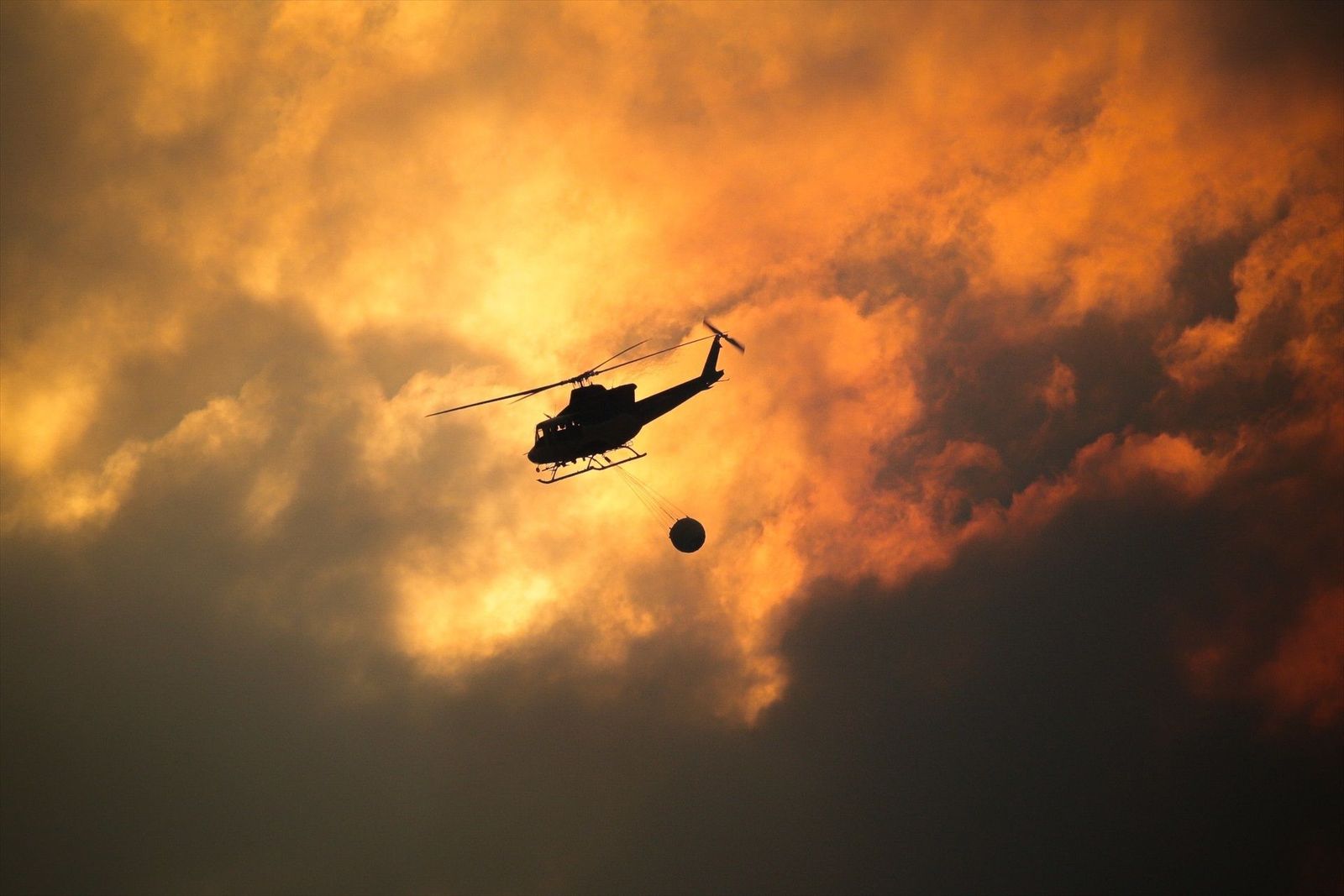 Galicia y Extremadura aprueban ayudas para paliar los efectos de los incendios