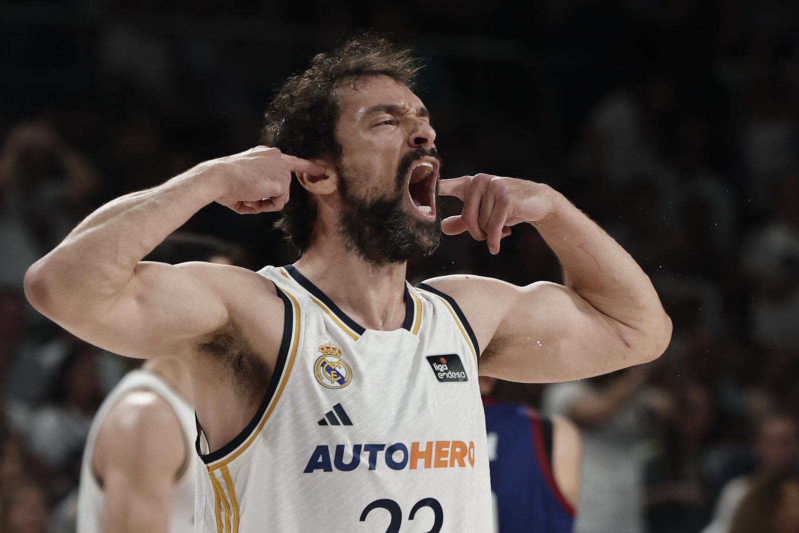 Llull