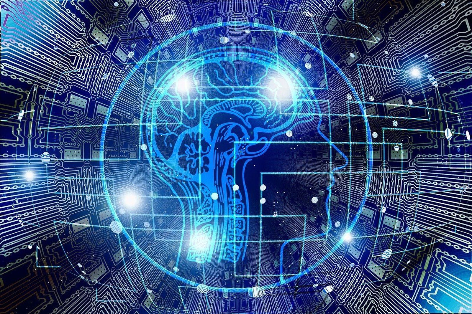 Casi la mitad de las empresas españolas utilizan ya inteligencia artificial