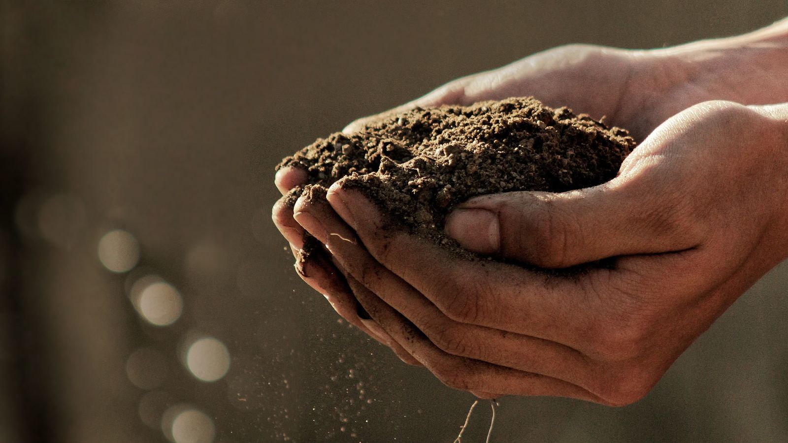 El Ayuntamiento de Alcalá invita a participar en una actividad para concienciar sobre la conservación del medio ambiente