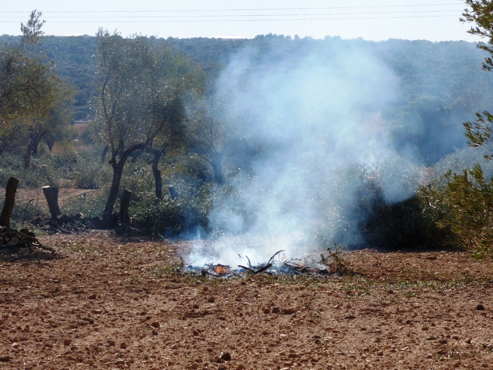 Quema de rastrojo agrícola
