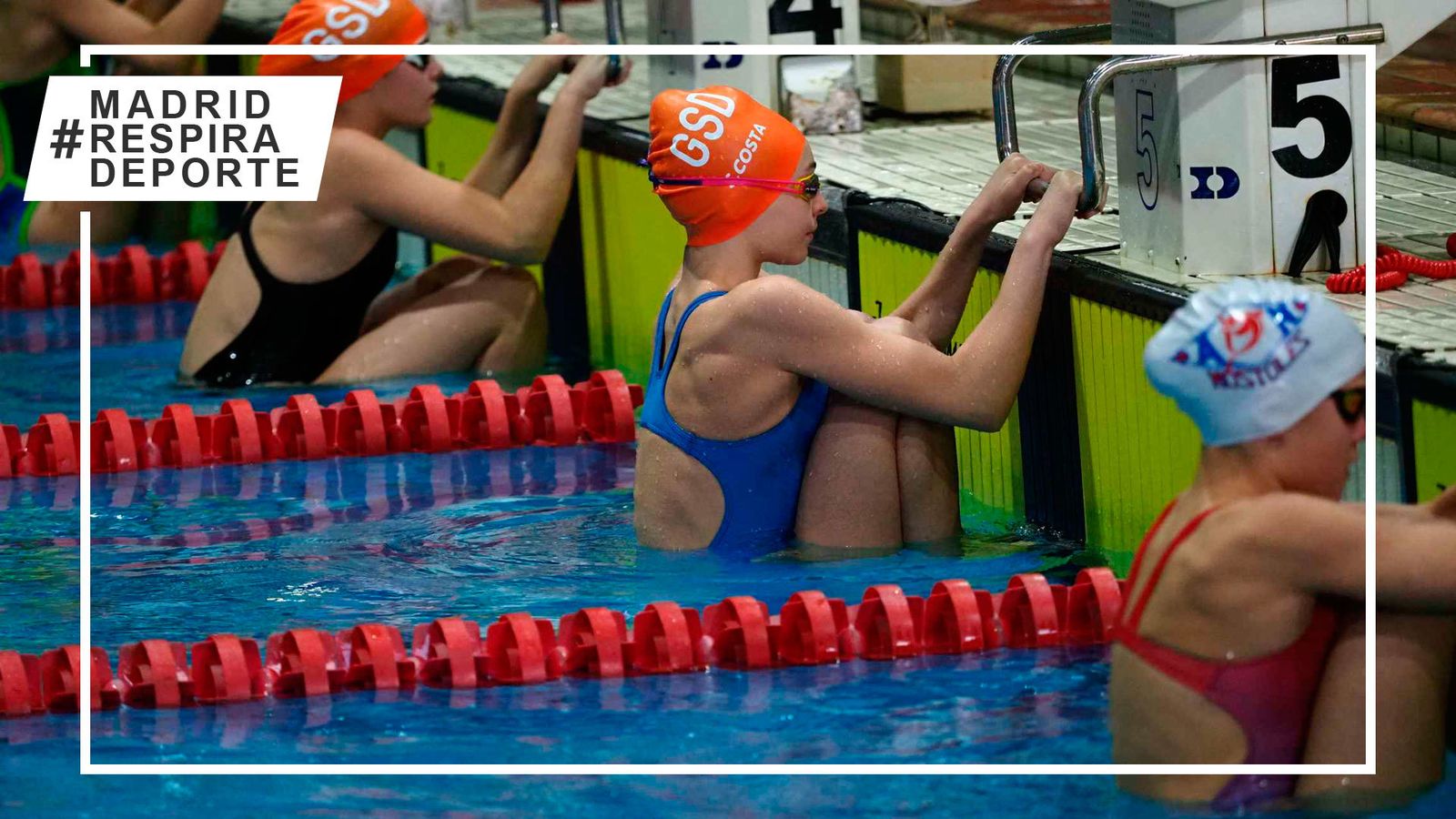 Campeonato de Madrid Alevín de natación
