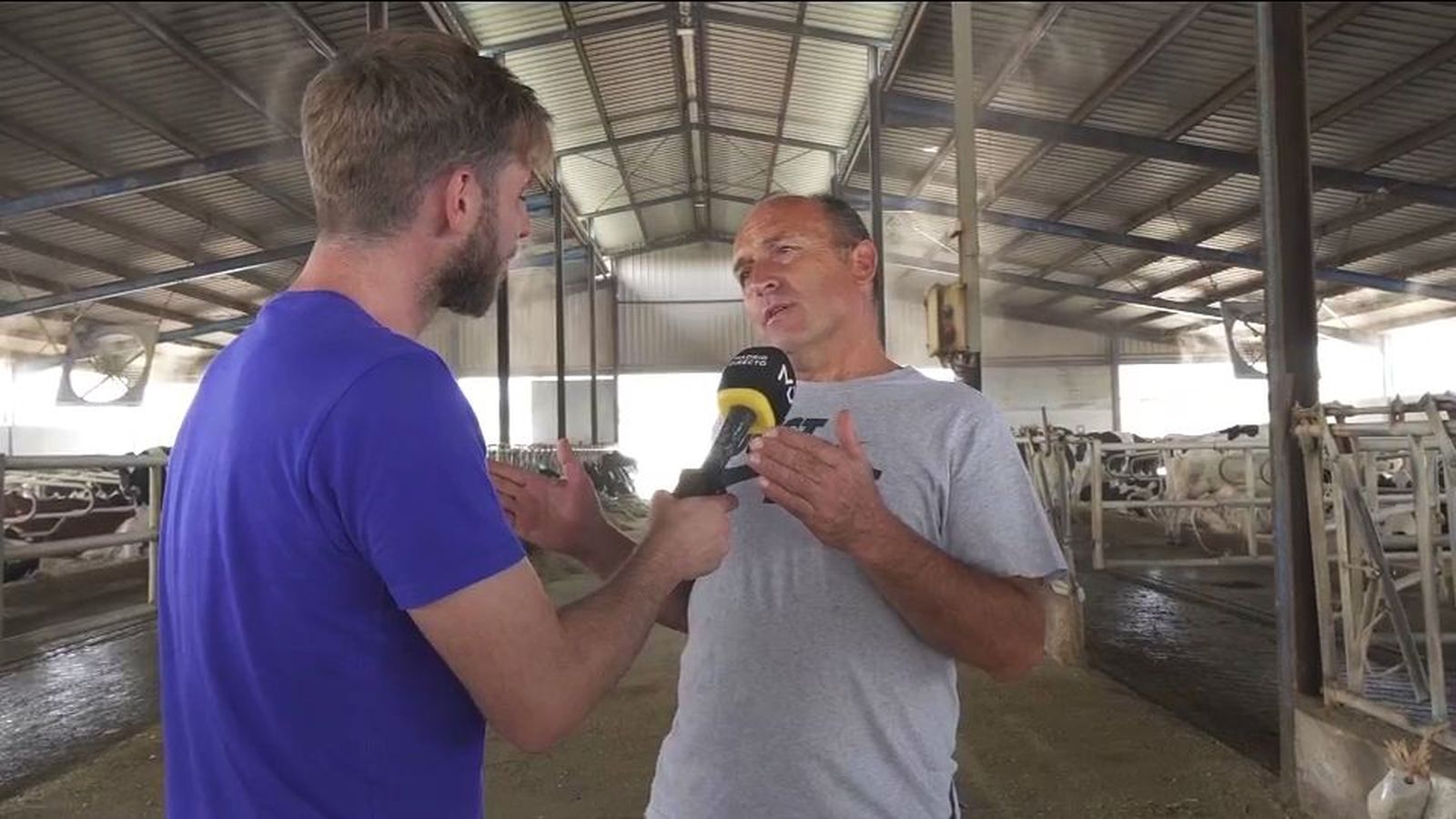 Los ganaderos, al límite: “Es más rentable llevarlas al matadero que tenerlas dando leche”