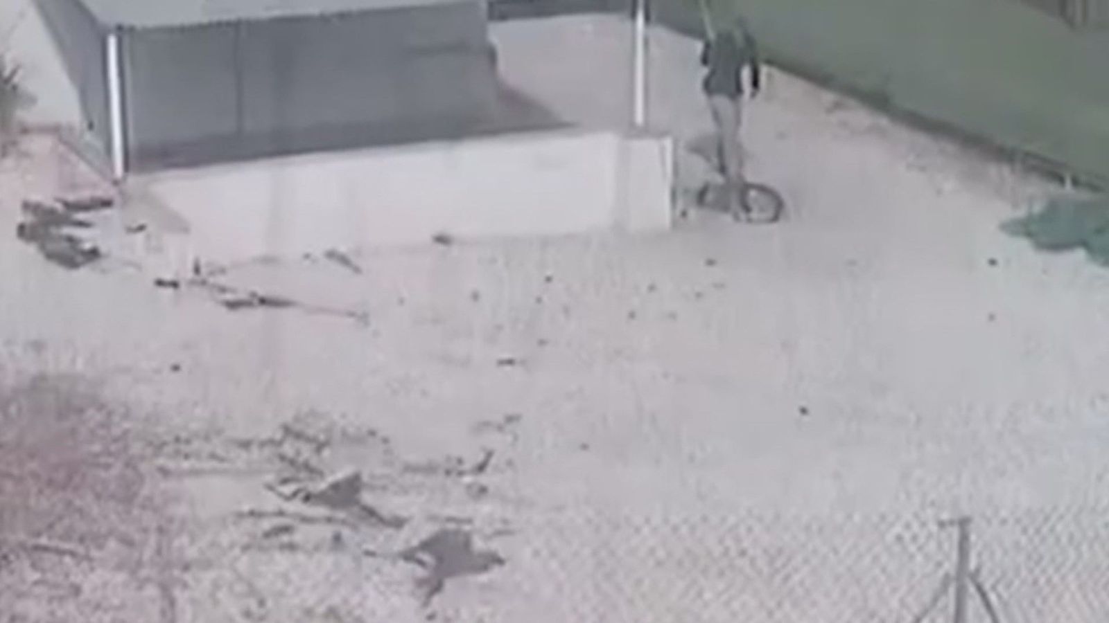 Dos detenidos en Murcia por apalear a un perro hasta casi matarlo