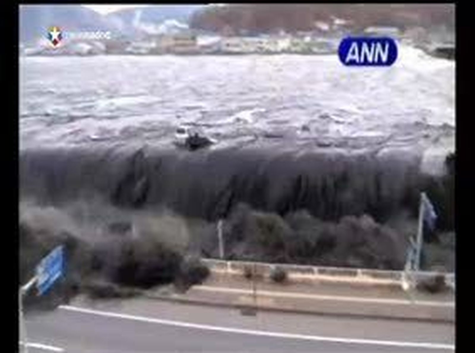 Desaparece la radioactividad en la pesca de la costa noreste de Japón