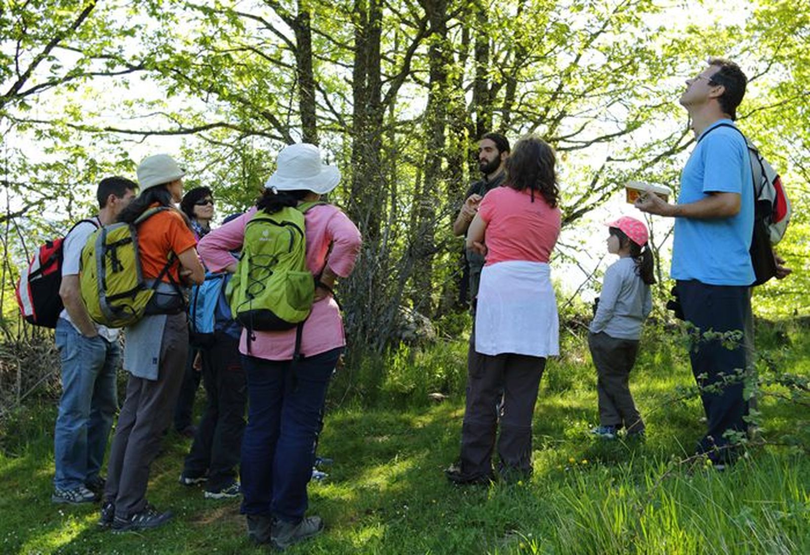 Ruta ornitológica por el campo madrileño