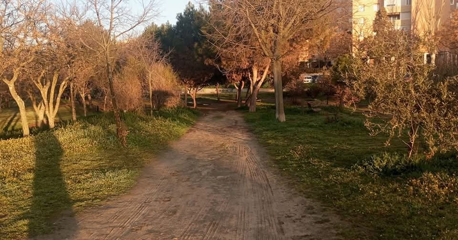 Parque de Loranca
