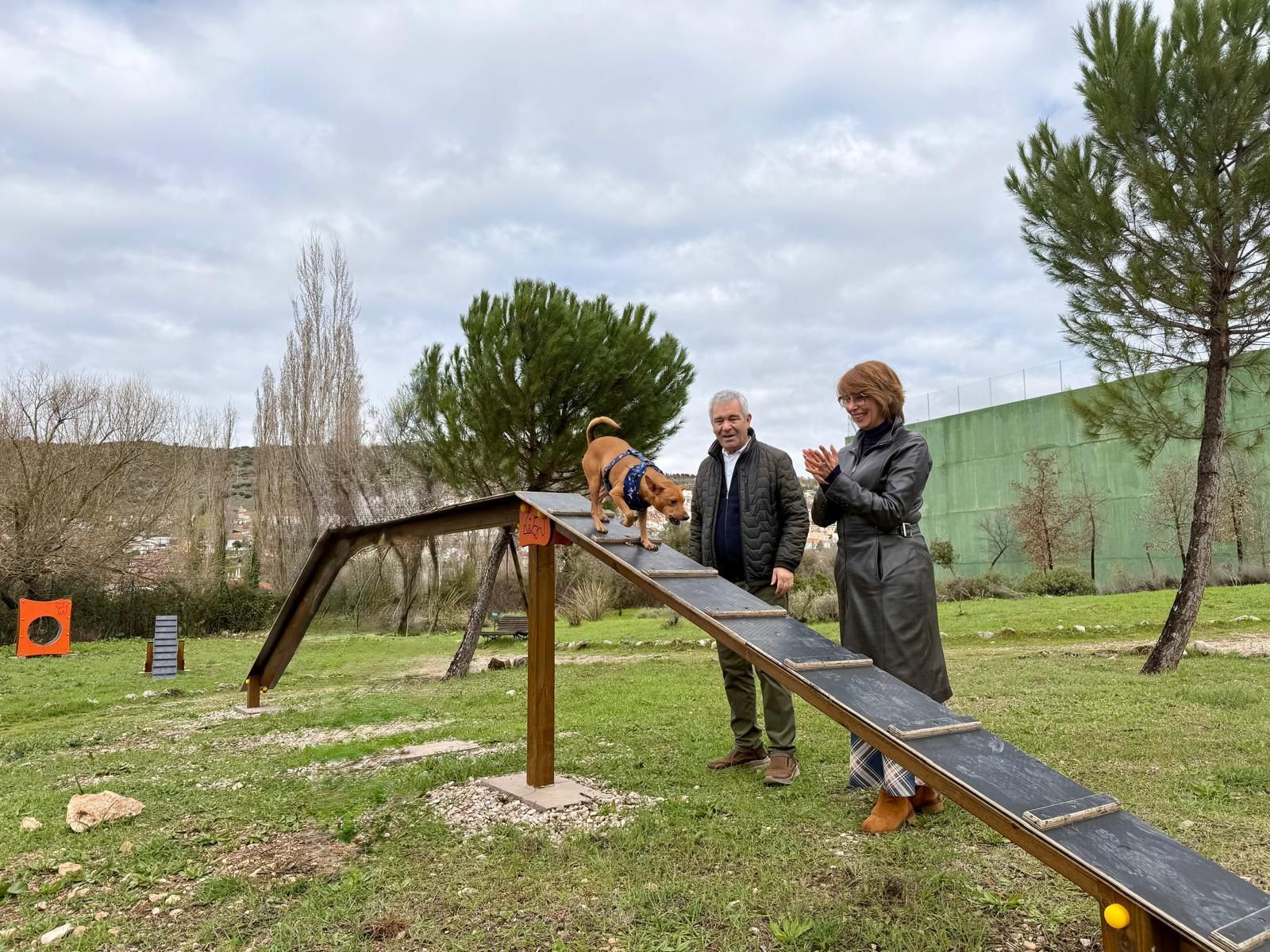 Parque canino en Ambite con elementos de agility