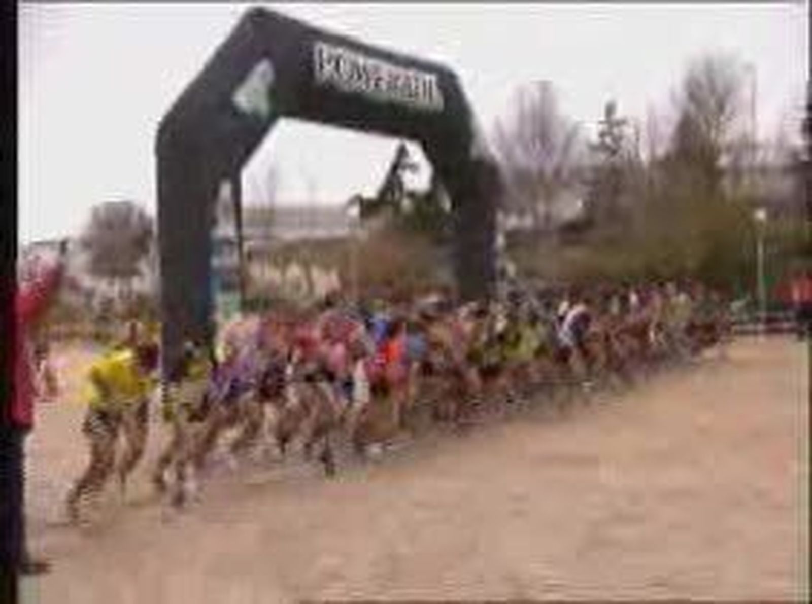 cross_2010125V0.wmv