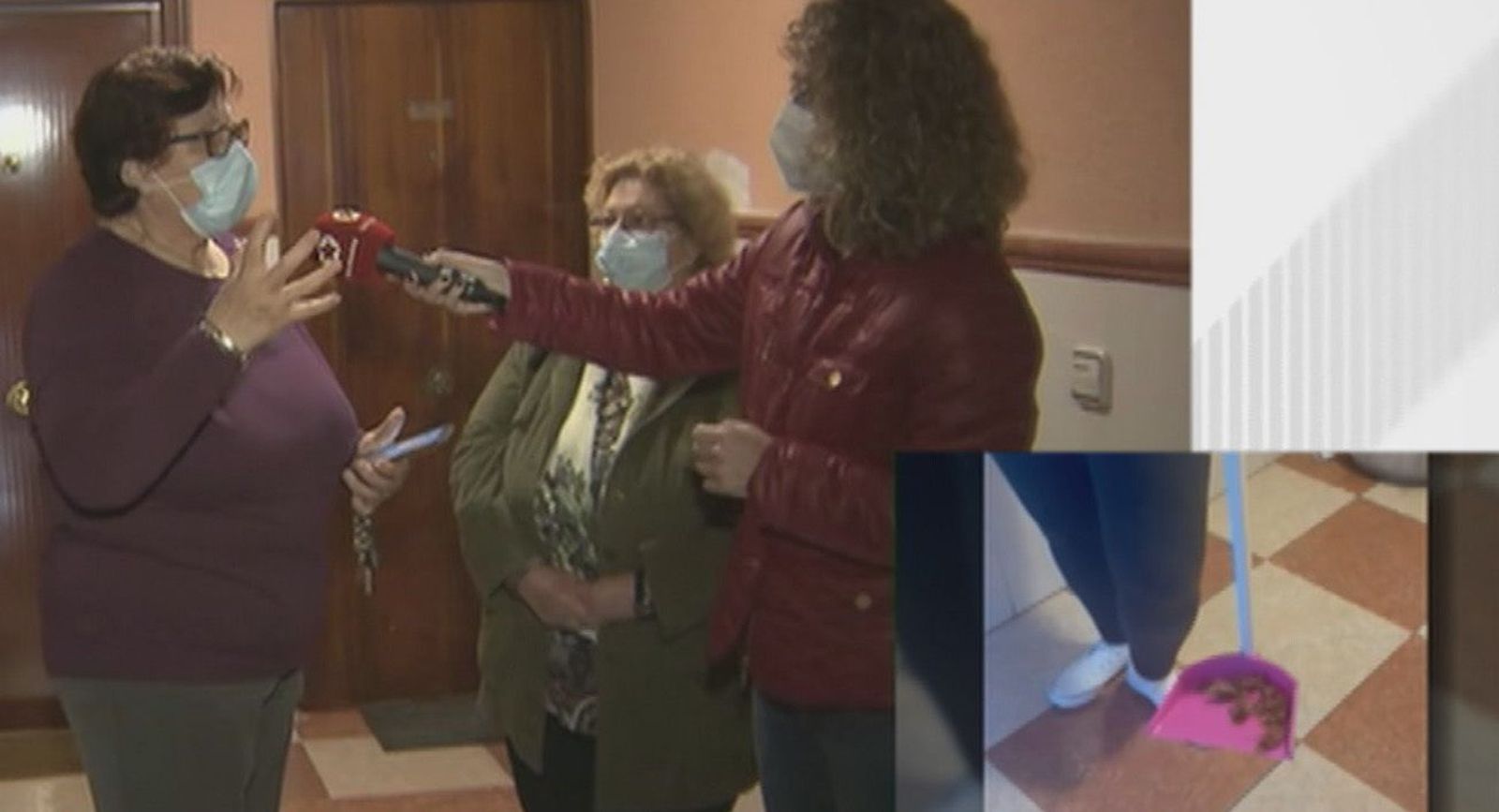 Plaga de cucarachas resistentes a las fumigaciones en un portal de vecinos de Parla
