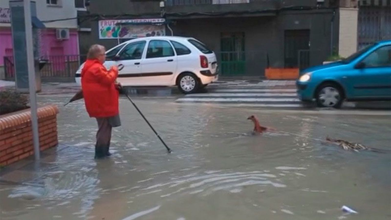 TEMPORAL ESPAIN TN1