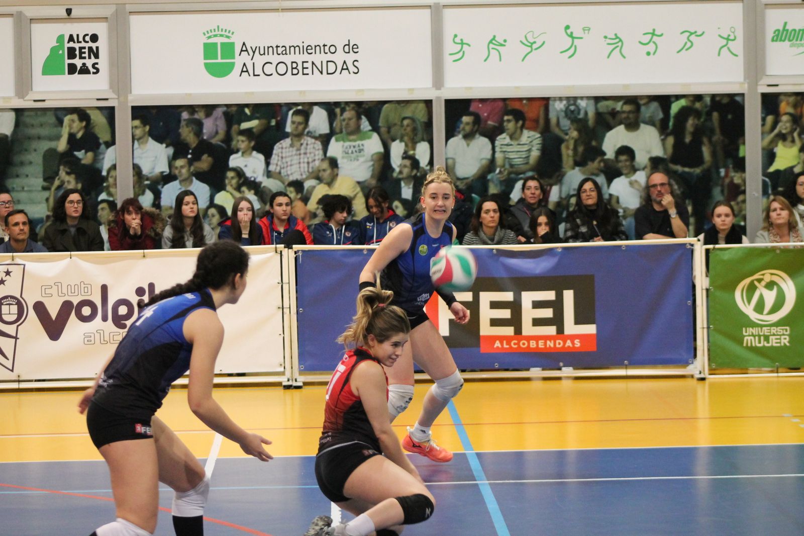 Voleibol Alcobendas