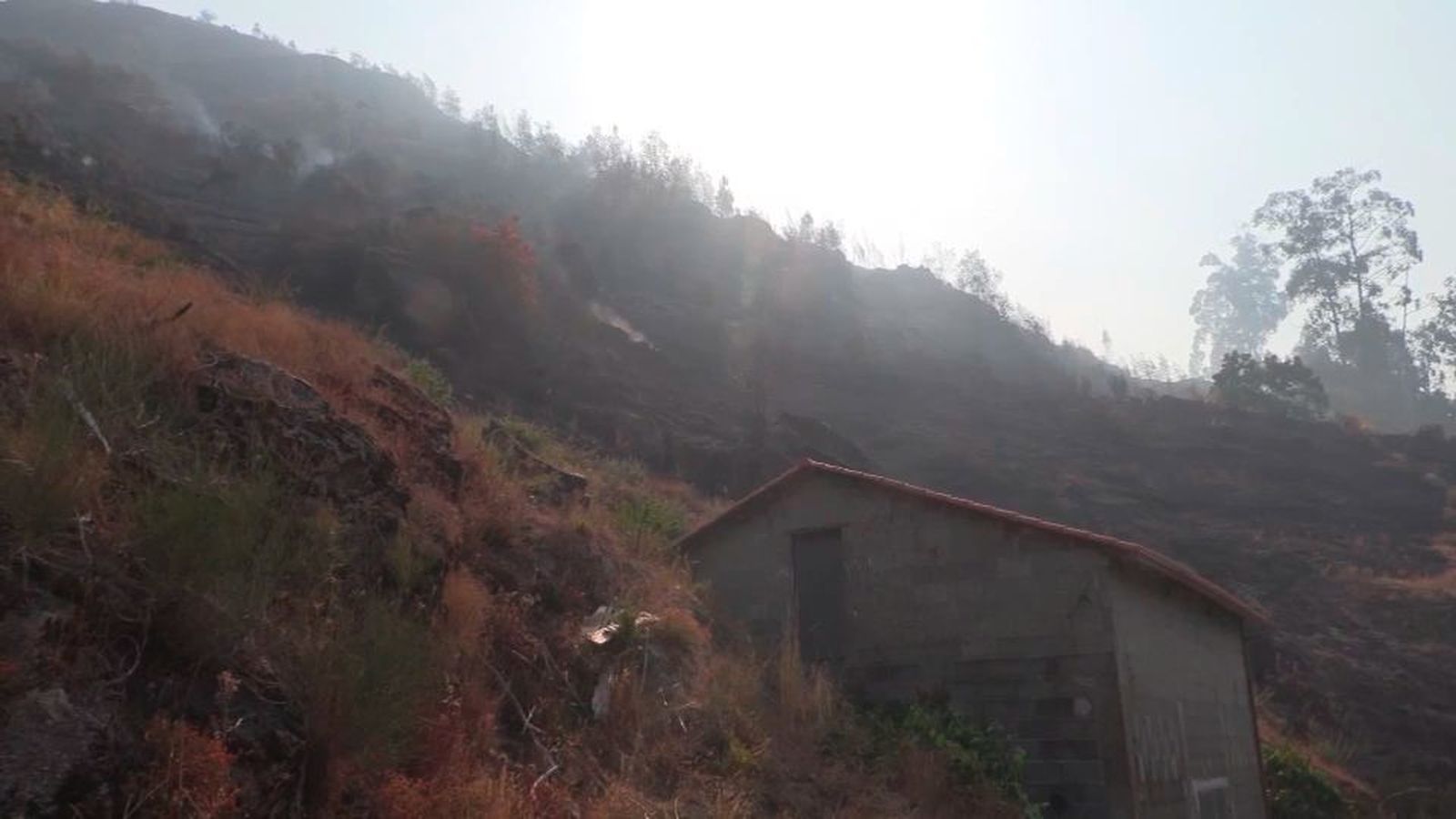 Estabilizados los incendios en el sur de Pontevedra tras arrasar 130 hectáreas