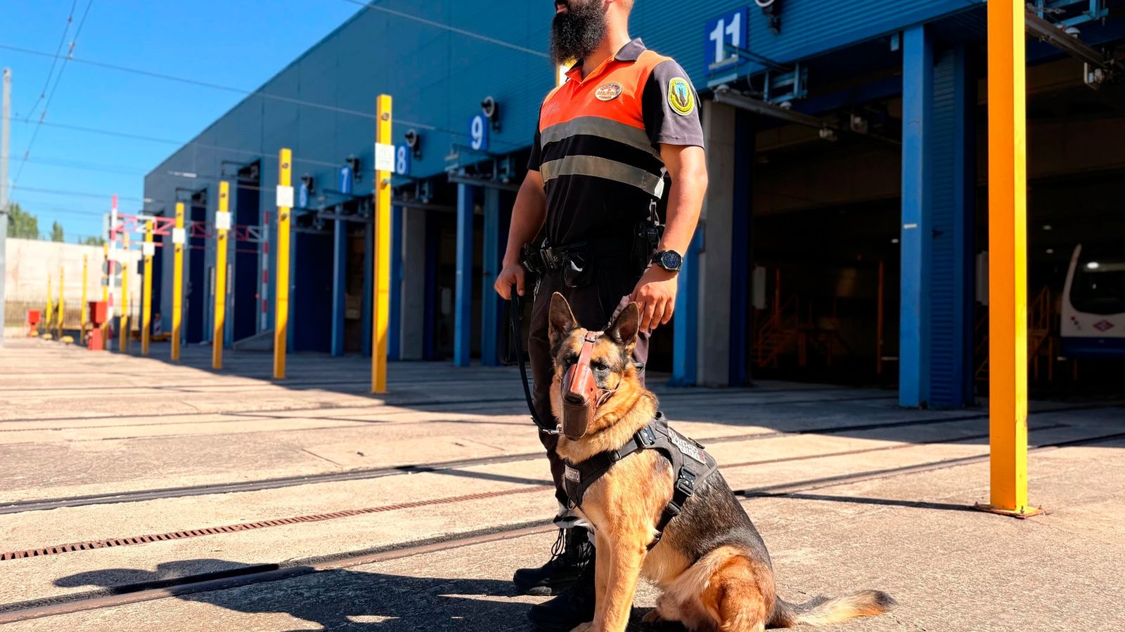 Servicio de vigilancia con perros en el Metro de Madrid