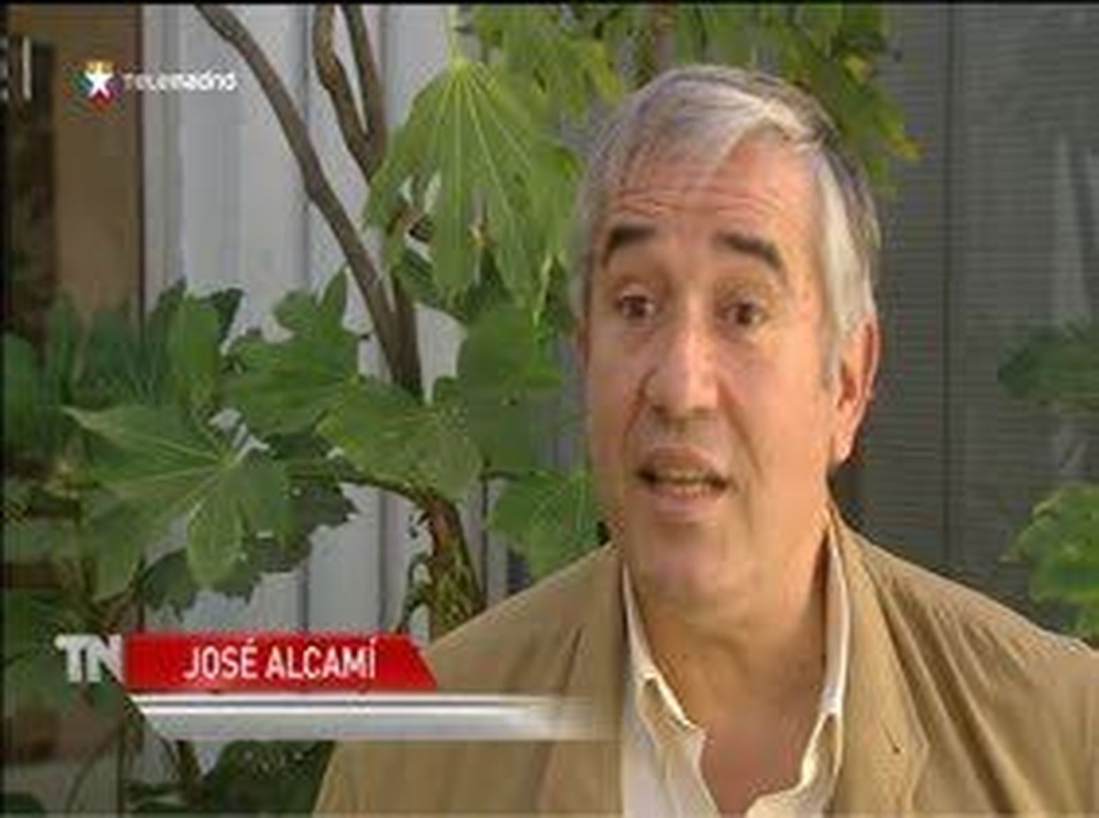 El olivo, detrás de un nuevo gel para evitar el contagio del VIH