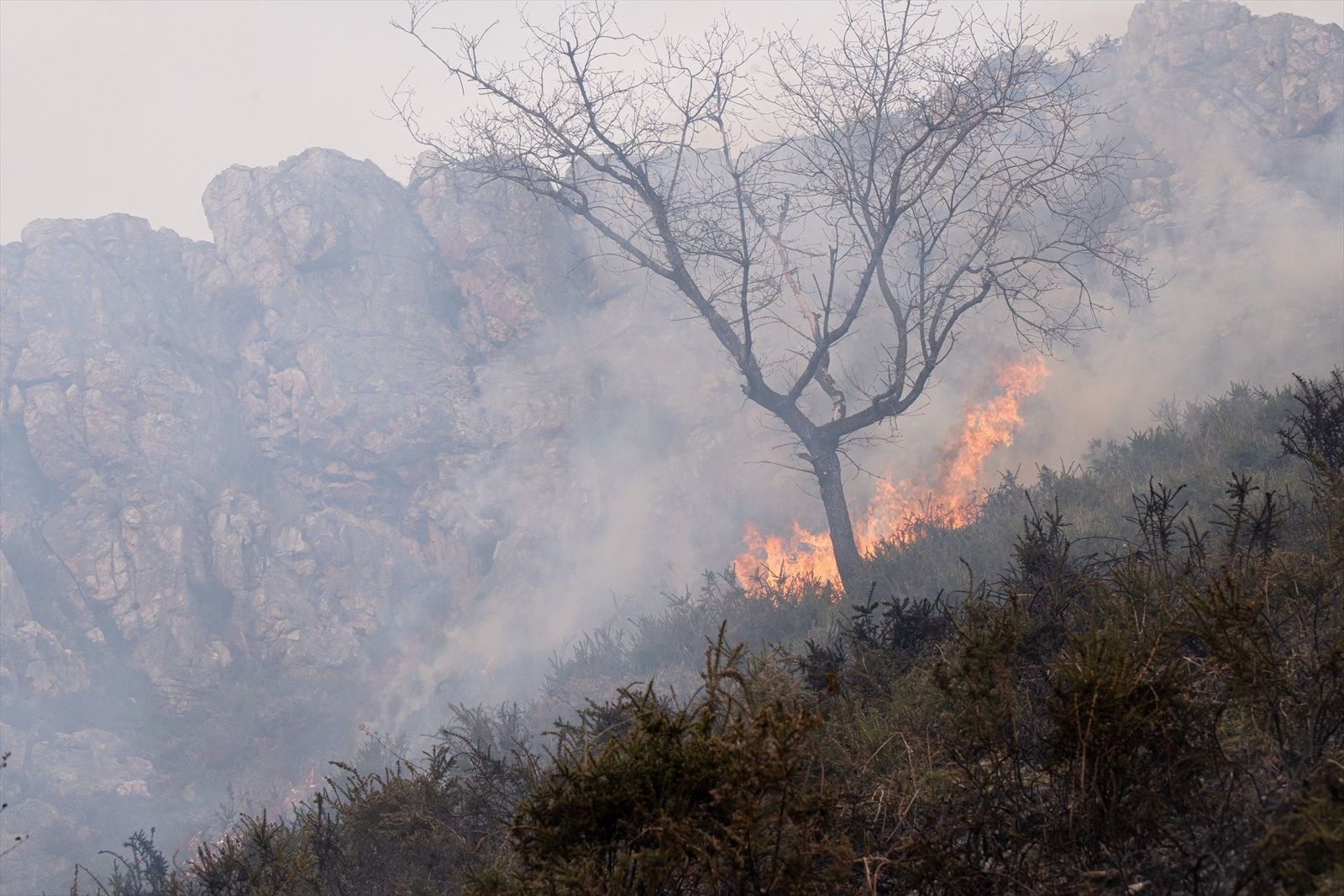 Continúa el riesgo de incendio alto en Cantabria y Asturias con cerca de 40 fuegos activos