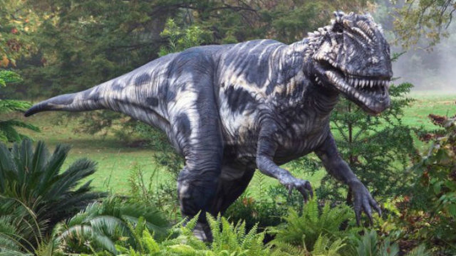 Más cerca de recuperar los verdaderos colores de los dinosaurios