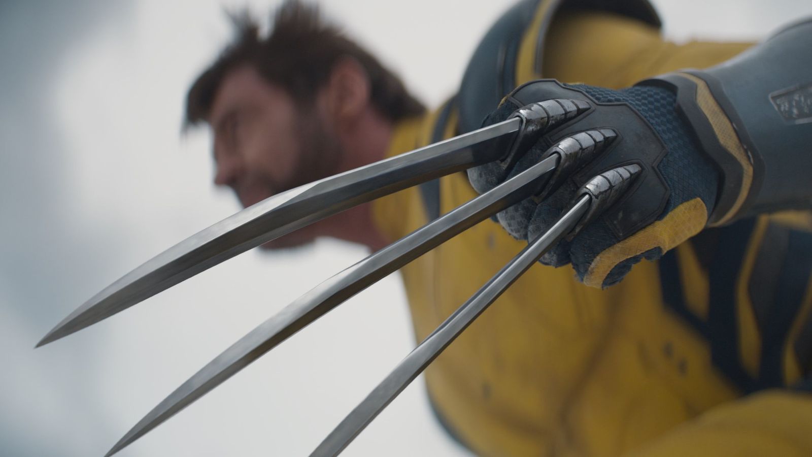 Sus garras están recubiertas de adamantium