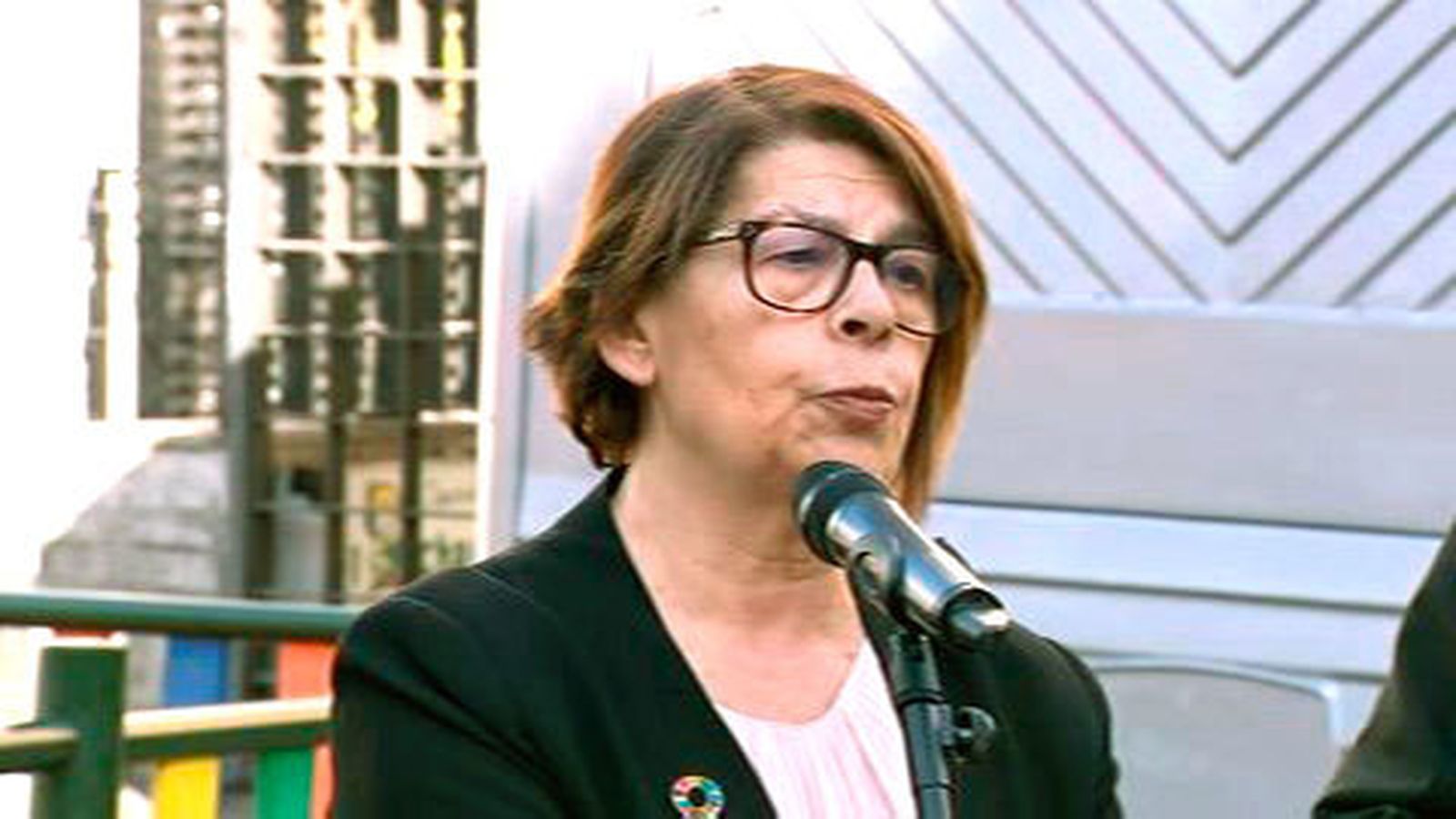 Inés Sabanés