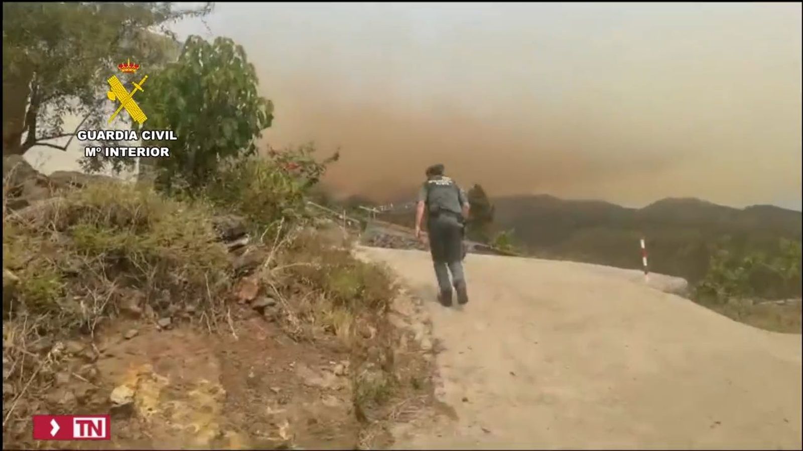 Incendio en La Palma