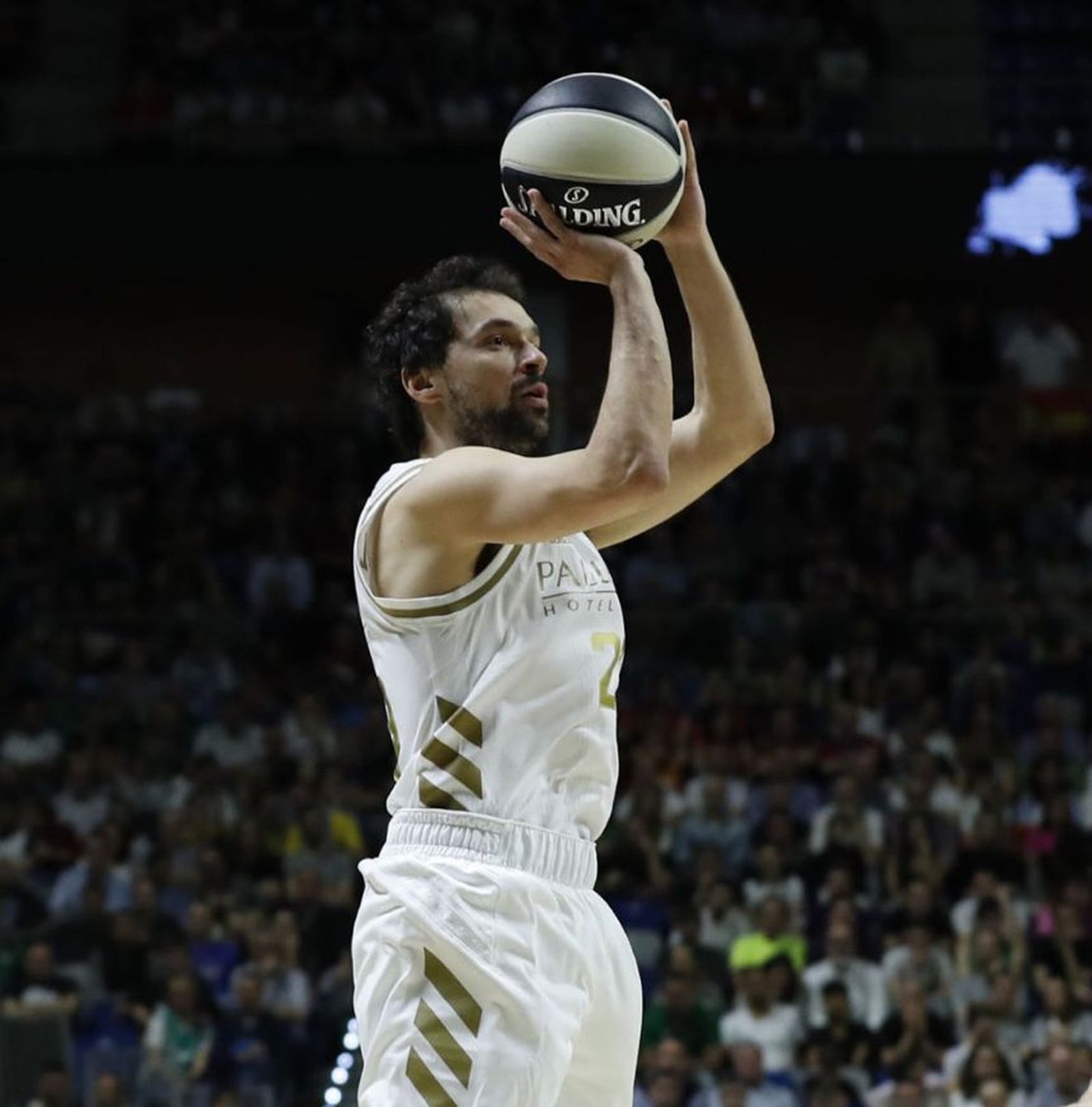 Sergio Llull
