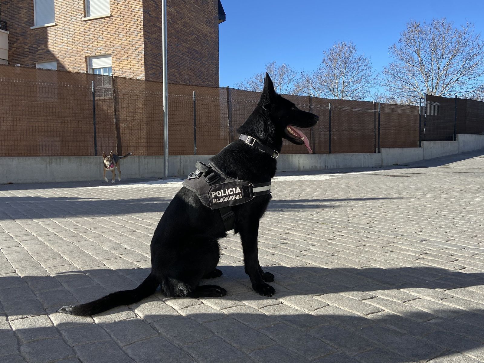 Un nuevo 'agente' para la policía de Majadahonda