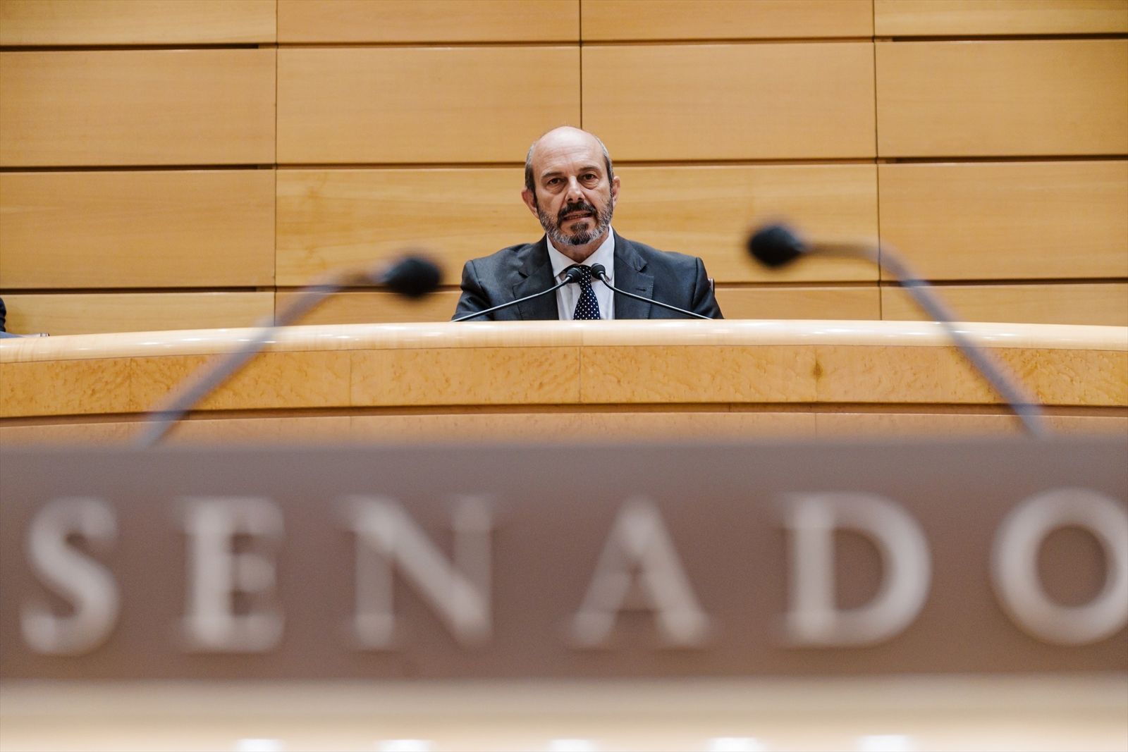 El presidente del Senado, Pedro Rollán