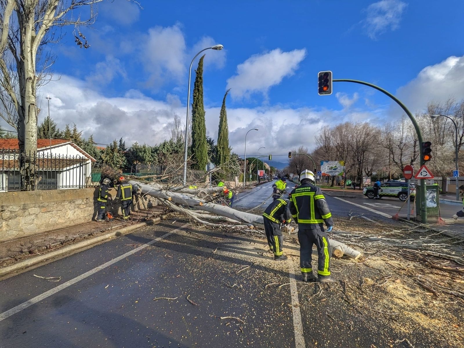 Bomberos de la Comunidad retiran un árbol caído sobre una calle