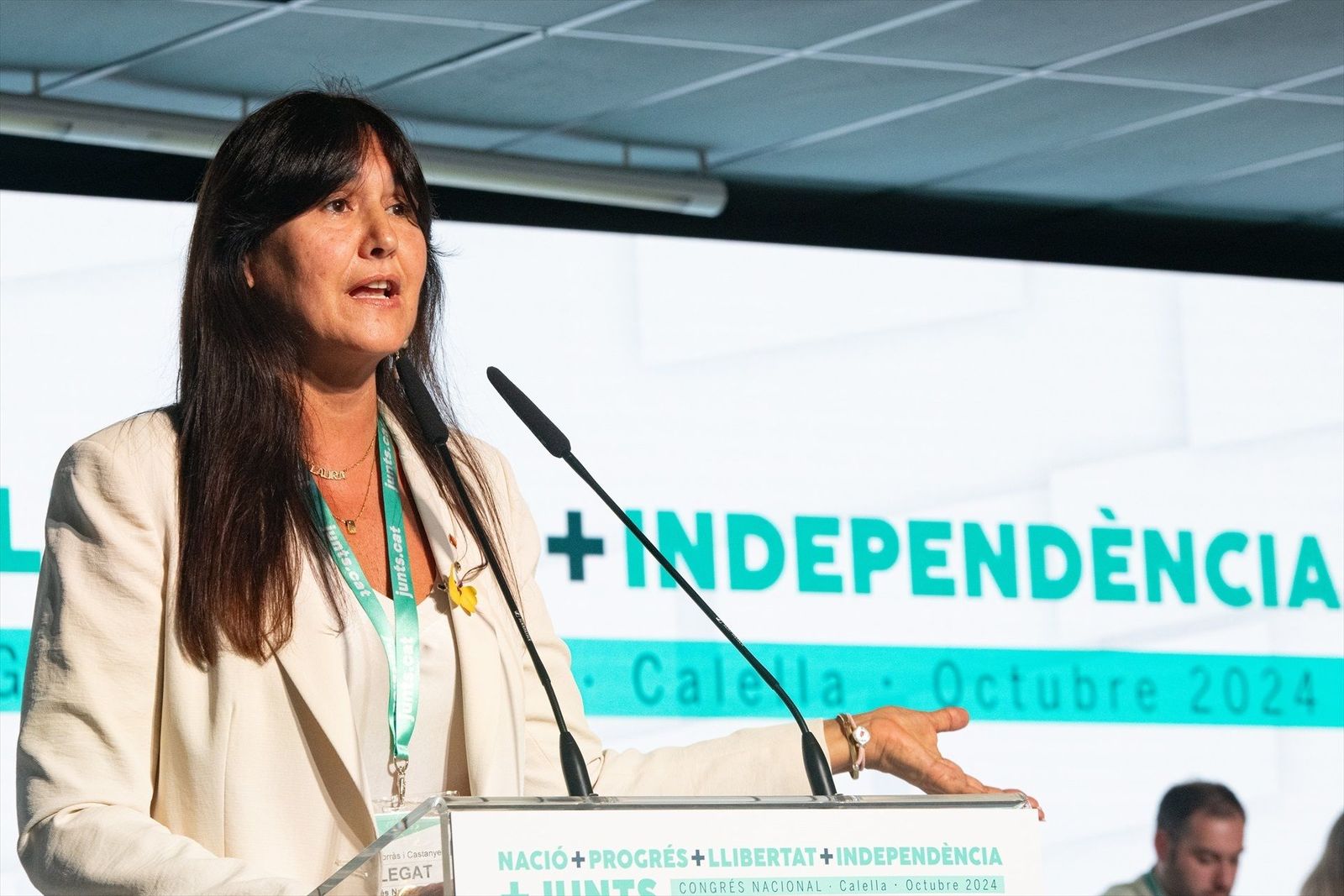 El TSJC pide al Gobierno el indulto parcial para Borrás y suspende su ingreso en prisión