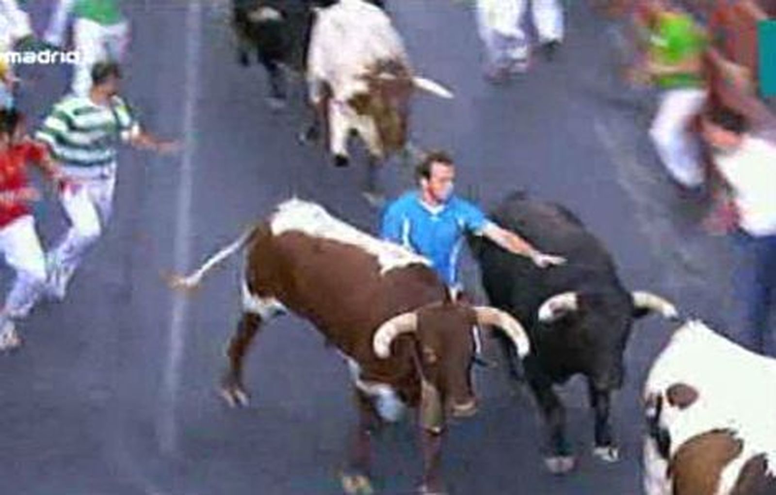Ocho contusionados en el segundo encierro en San Sebastián de los Reyes