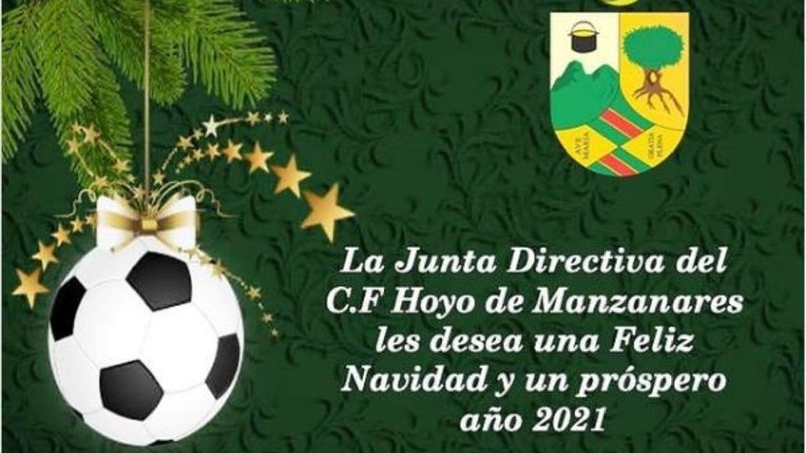 CD Hoyo de Manzanares