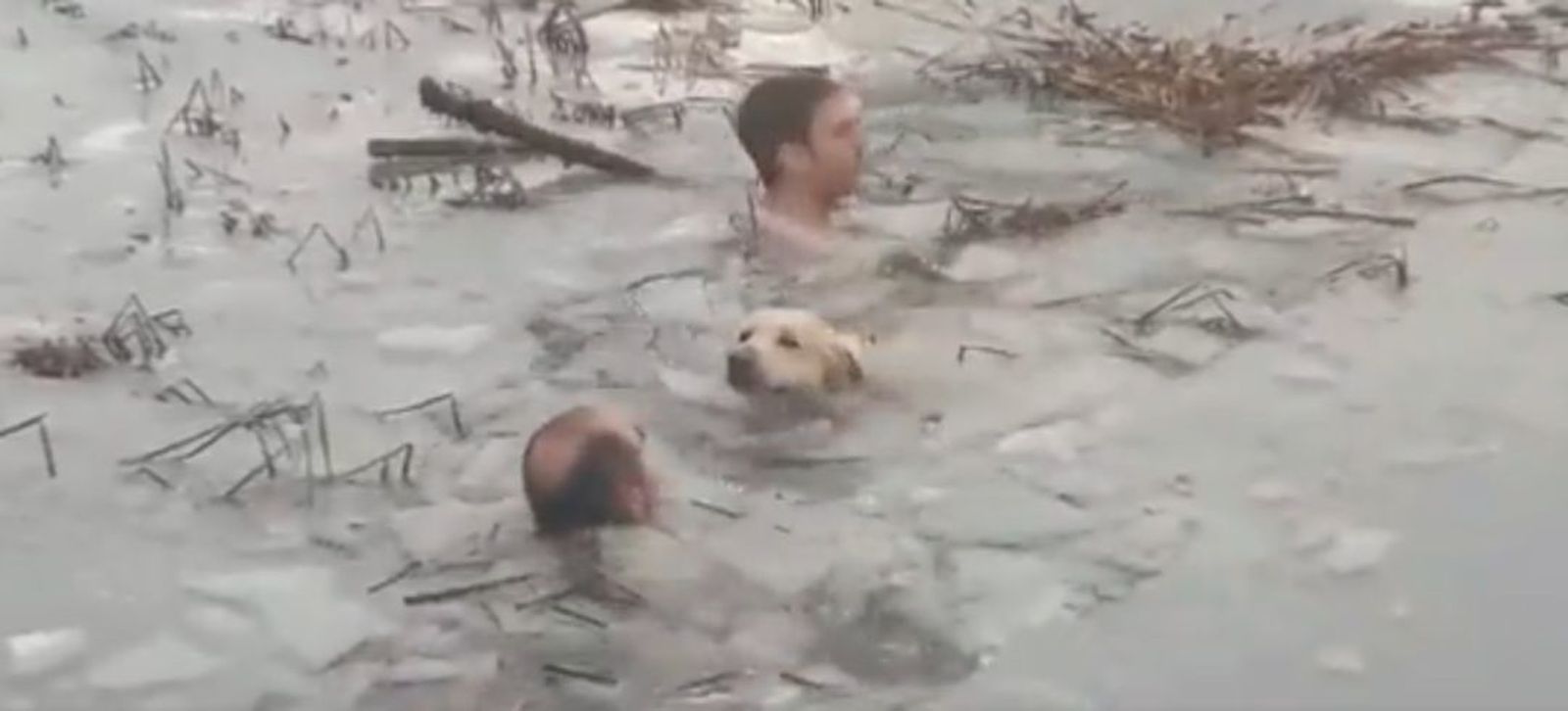 Los dos guardias civiles y el perro