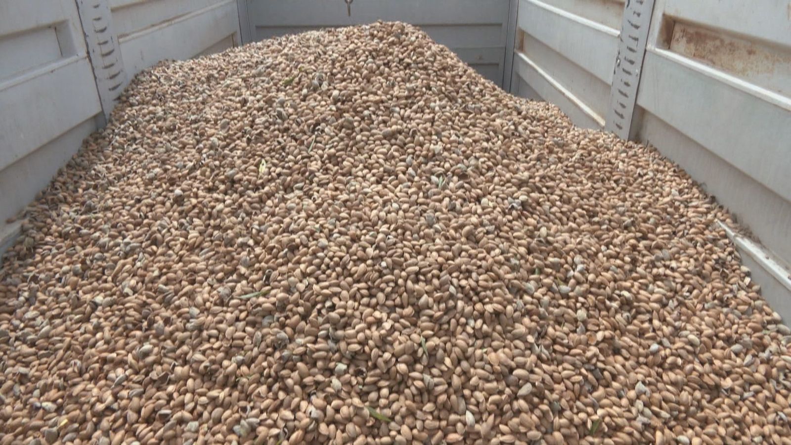 Almendras