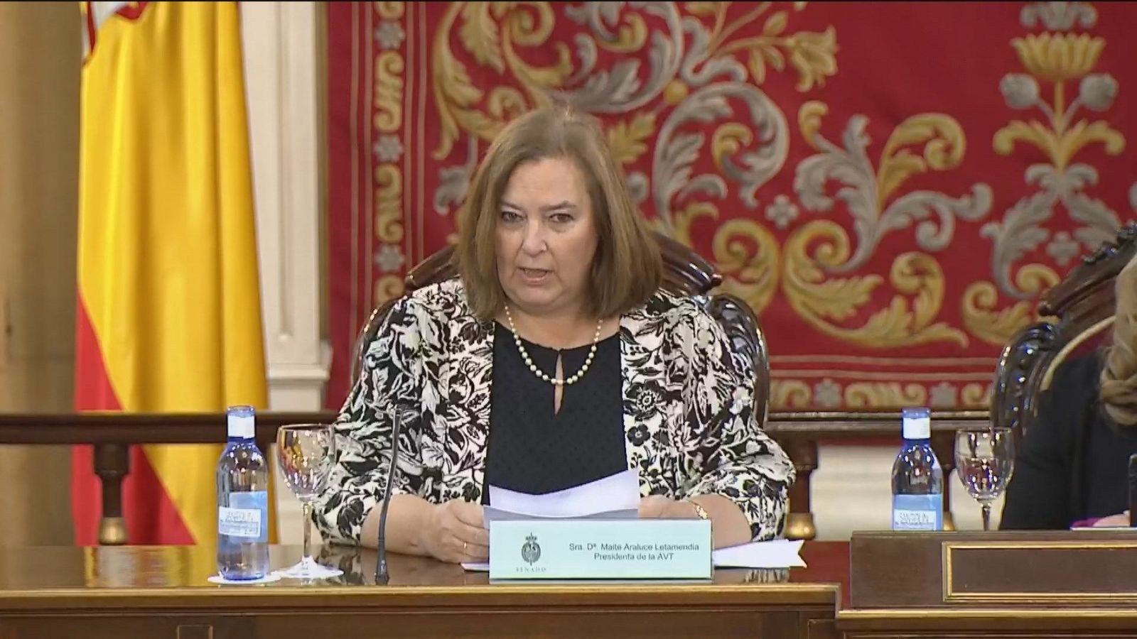 La AVT critica en el Senado el acercamiento de presos etarras a cárceles del País Vasco