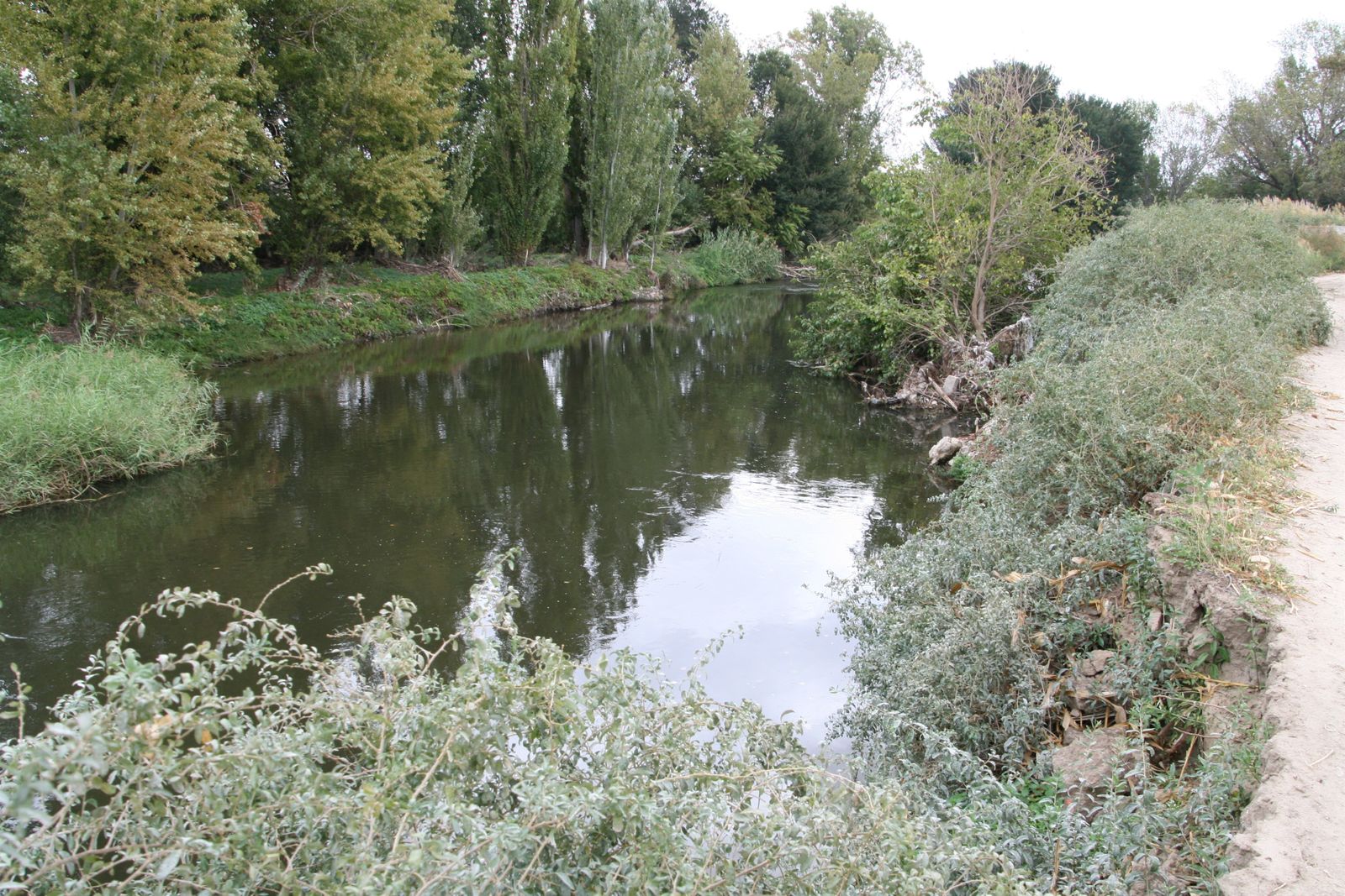 Perales del Río